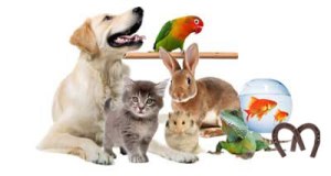 Rainbow Bridge Pic 1