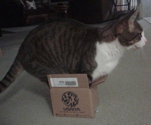 does this box make my butt look big