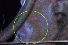 ghostly-cat-face-072014zz