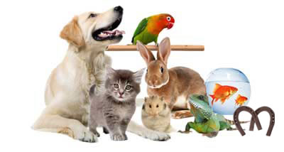 Rainbow Bridge Pic 1