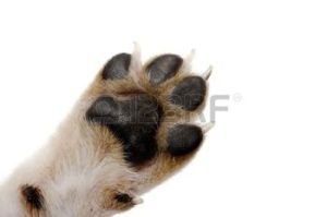 I need Diane's lotion bar please!