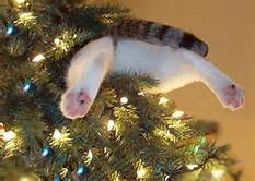 christmas-cat-tree-issue